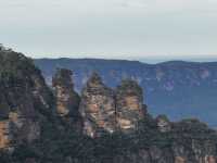 Blue Mountains 🏔️ Sydney 