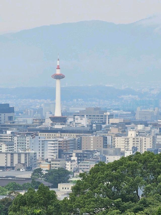 Walking Through the Green Side of Kiyomizu-dera