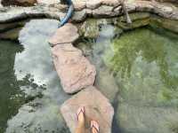 Salt hot spring in Krabi 