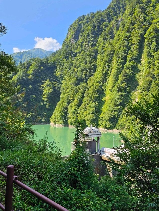 🇯🇵 My Ultimate 3-Week Japan Itinerary: Culture, Nature & City Buzz in One Epic Trip 🌸