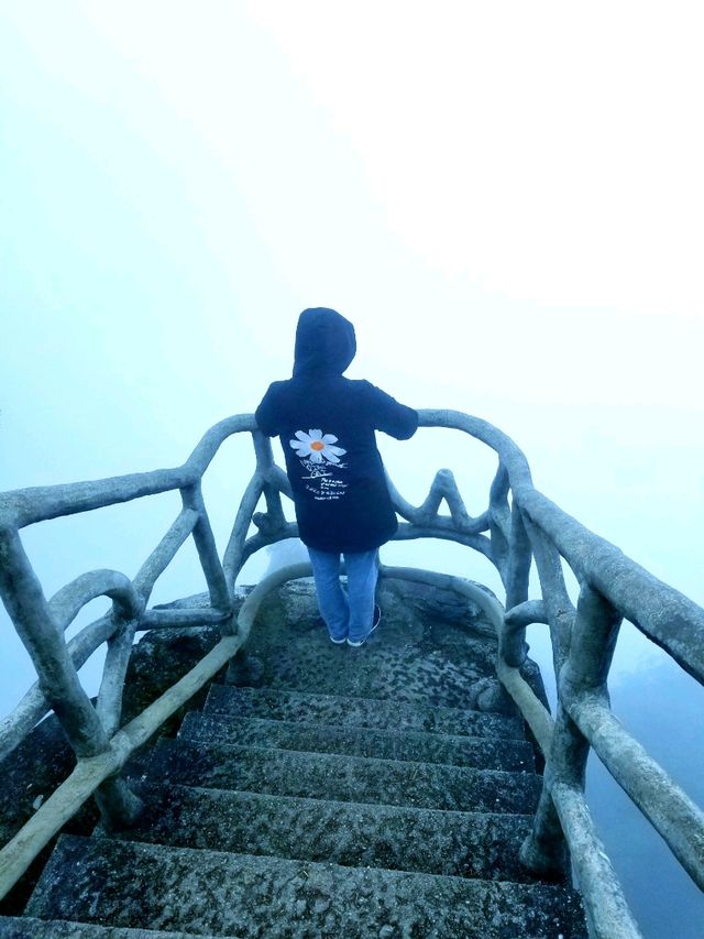 Wugongshan: Sea of Clouds & Alpine Dreams🏔🏞