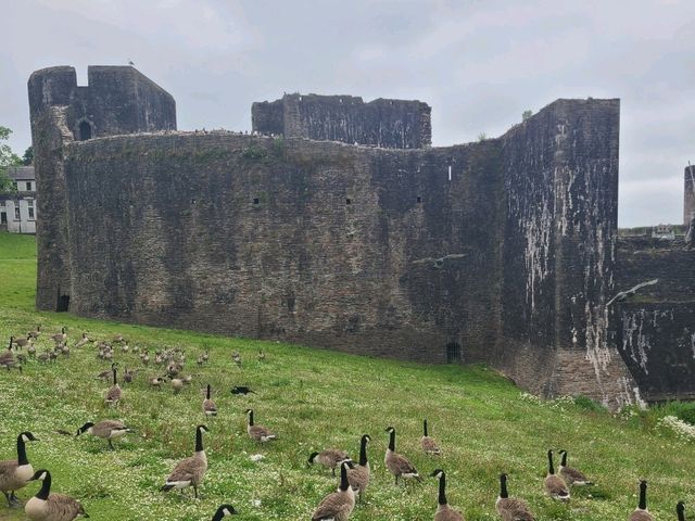Largest Castle in Wales