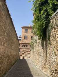Madrid-Segovia day trip. Super Recommend