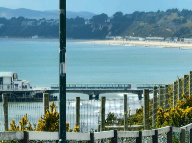 From Seaside to City