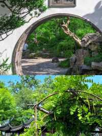 A Stroll Through Serenity: Exploring Suzhou’s Humble Administrator’s Garden