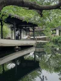 A Stroll Through Serenity: Exploring Suzhou’s Humble Administrator’s Garden