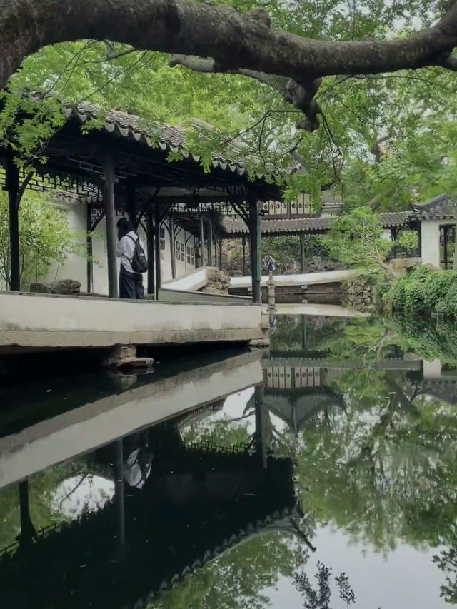 A Stroll Through Serenity: Exploring Suzhou’s Humble Administrator’s Garden