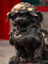 Walking Through History: A Day at Shenyang Imperial Palace