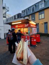 Postcards from Reykjavik: 1-Day Itinerary 🇮🇸✨
