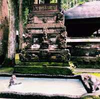 Bali on a Budget: Nature’s Hidden Paradise