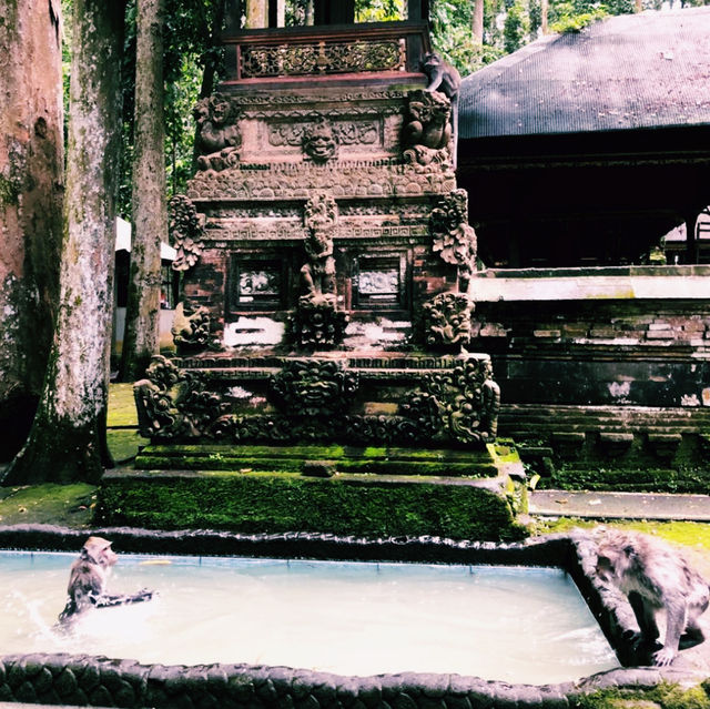 Bali on a Budget: Nature’s Hidden Paradise