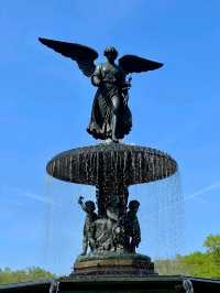 Central Park, it’s basically Hollywood’s favorite green screen!