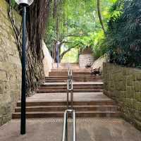 🏯🦢 Kowloon Park: A Hidden Oasis in the City 🌳🐒