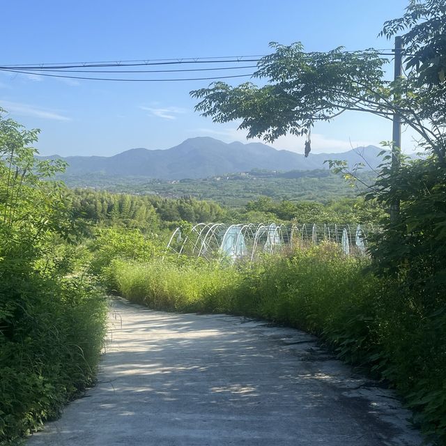 An 85km bike ride from Shengzhou to Keqiao