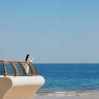 A lonely whale off the coast of Yantai 