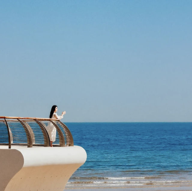 A lonely whale off the coast of Yantai 