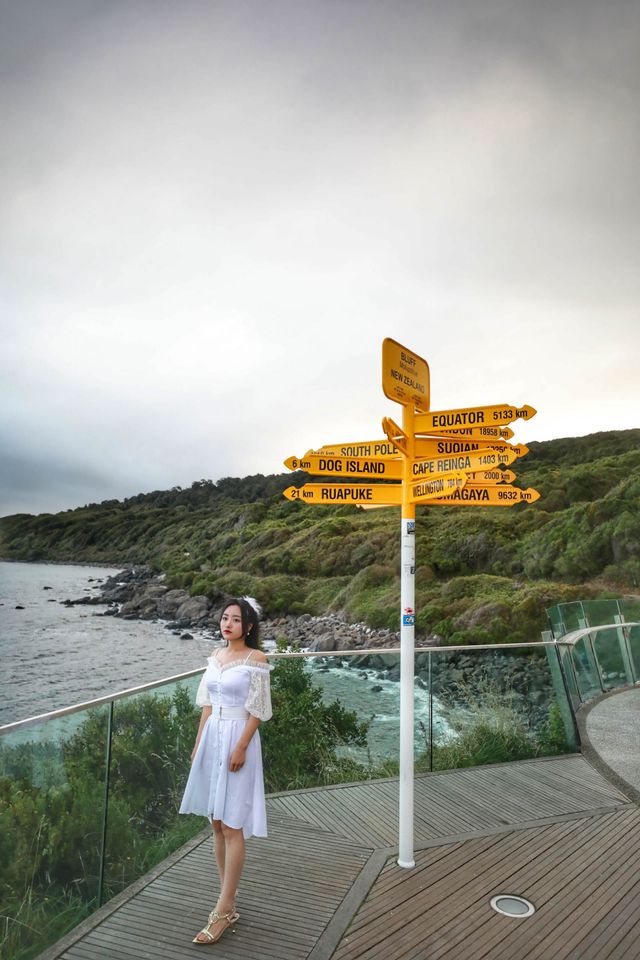 New Zealand self-driving, the wonderful experience you can't miss in your life. New Zealand self-driving, the wonderful experience you can't miss in your life.