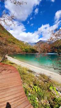 文縣天池秋季萬山紅遍