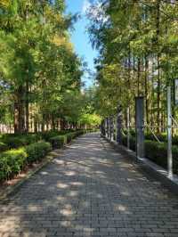 靈湖公園 吹著微風 享受這人世間獨一份的快樂