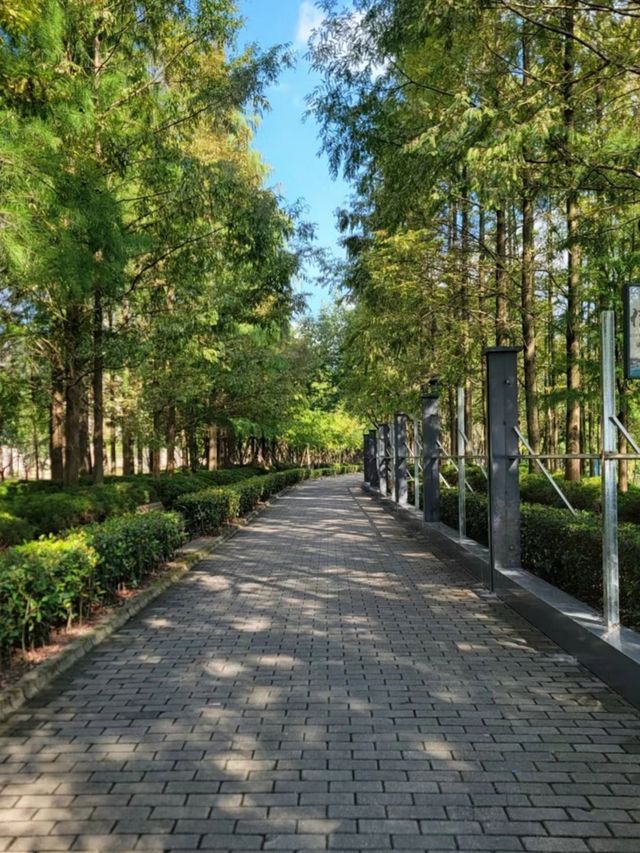 靈湖公園 吹著微風 享受這人世間獨一份的快樂