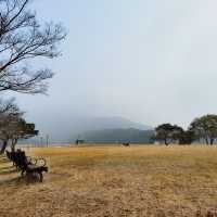打卡韓國益山王宮裡遺址