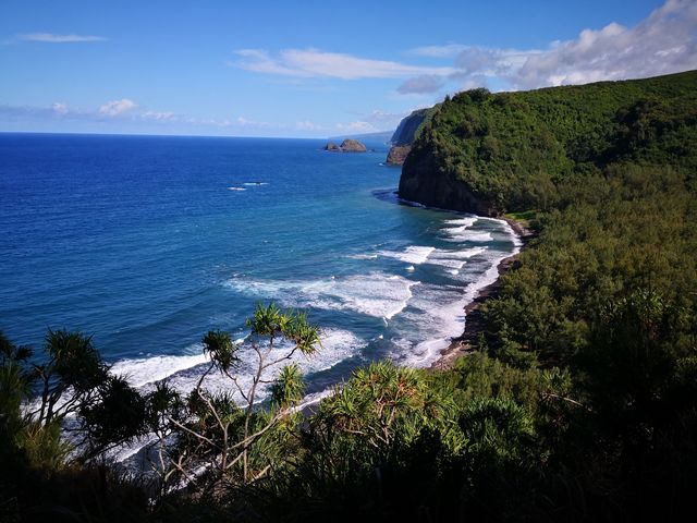 夏威夷大島，野性之美