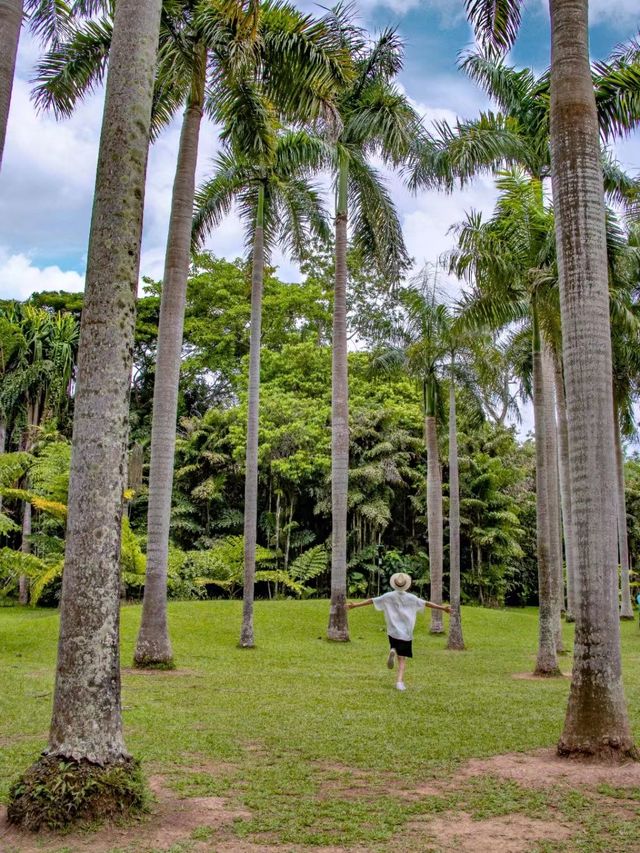 為了中科院植物園專程飛到西雙版納