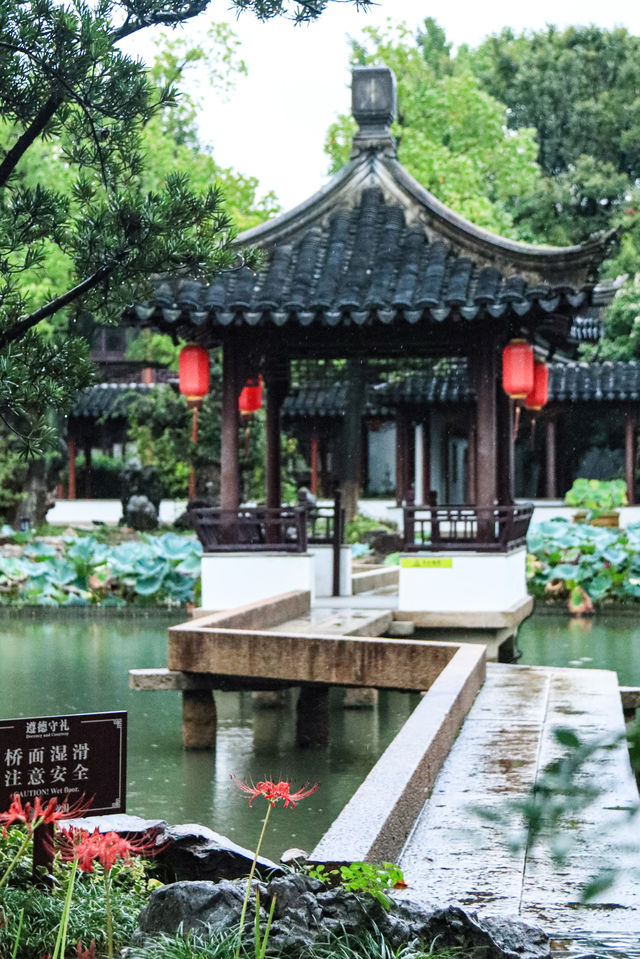 看不夠的江南雨|雨天慢遊常熟曾趙園宛若走進了詩畫裡 看不夠的江南雨|雨天慢遊常熟曾趙園宛若走進了詩畫裡