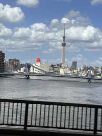 Tokyo, trip of a lifetime. A dream come true