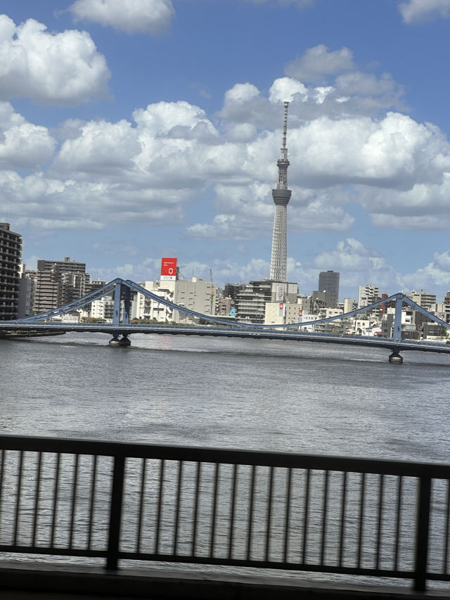 Tokyo, trip of a lifetime. A dream come true