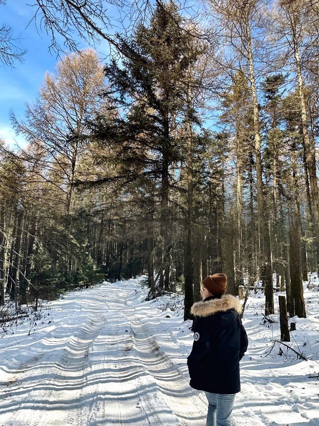 走進北方的香格里拉 | 山西的雪鄉蘆芽山