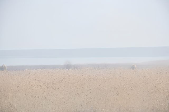 上海金山嘴漁村