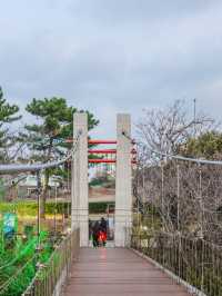 如何在濟州市區逛遊，請參照這份1日遊攻略