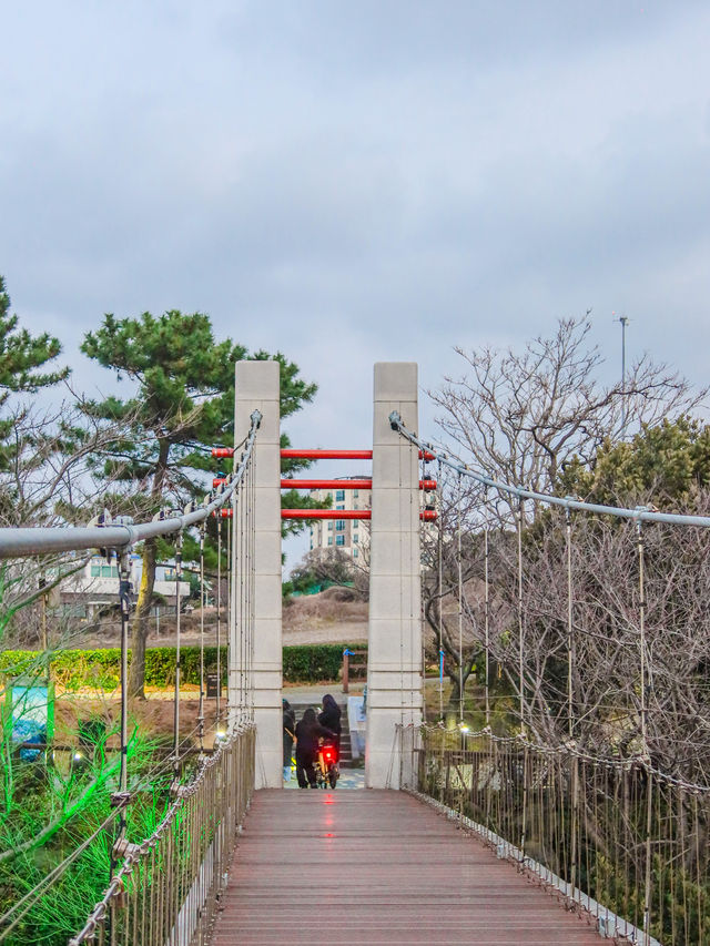 如何在濟州市區逛遊，請參照這份1日遊攻略