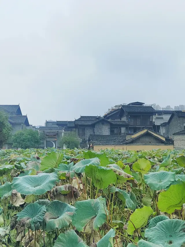 The ancient city of Qianzhou is leisurely