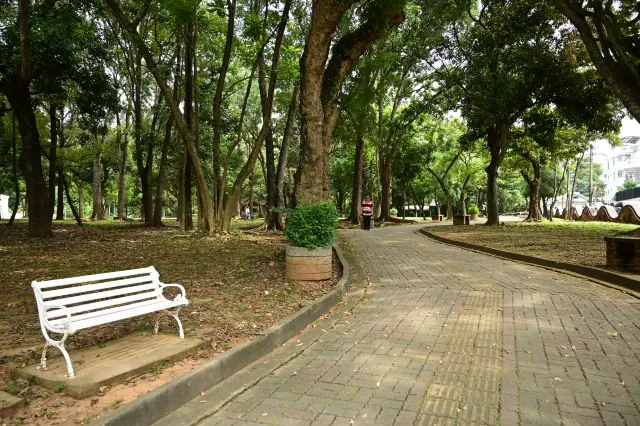 The forest park in the city