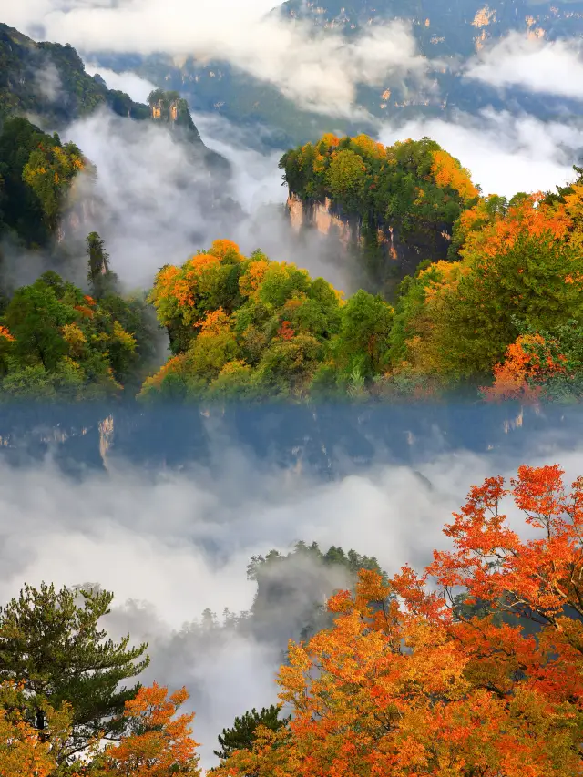 of autumn colors are all in Bazhonglandscape, red BazhongAs the saying goes: Watch the water in Jiuzhaigou, and the mountains in Guangwu