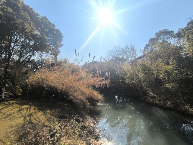 昆山安亭一日遊