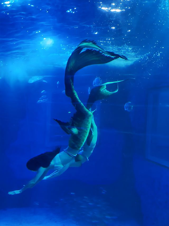 北京夢幻海底世界，氛圍感拉滿