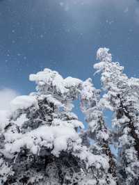 西岭雪山怎麼耍？這些精髓玩法速get