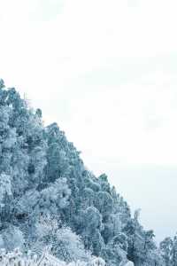 聽說很多人不相信這是廬山的雪景