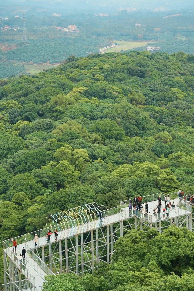 廉江～謝鞋山家庭遊玩半日遊