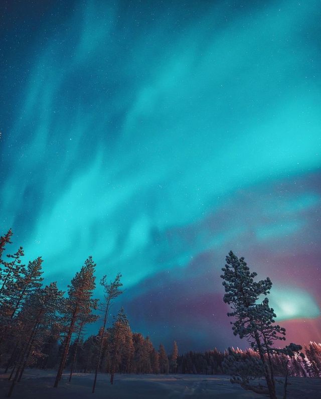 Unveiling the Enchanting Wonders of Lapland's Nature! 🇫🇮 Prepare to be Amazed! 🌲🌌
