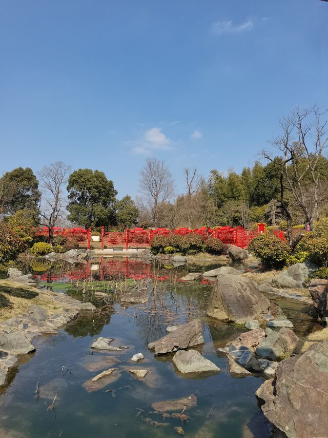 南京空氣好，景色好！銀杏湖如畫春天