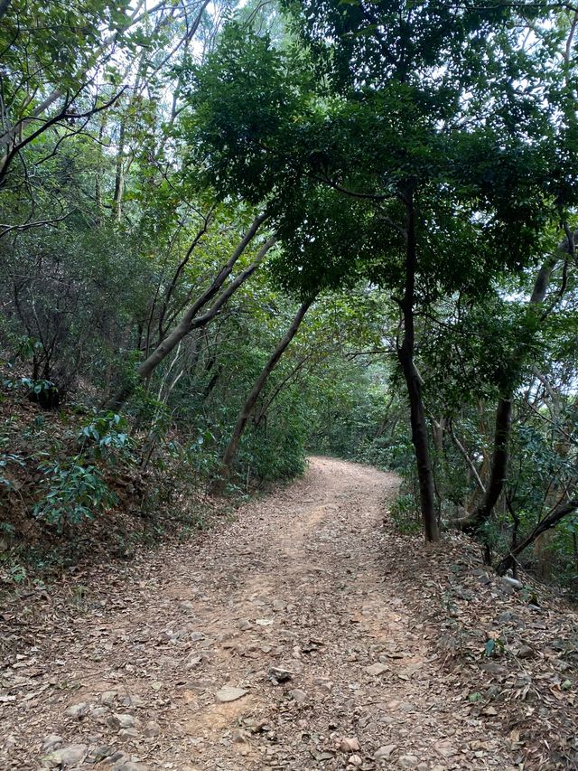 |||打卡銀湖山郊野徑，市區地鐵直達徒步好去處