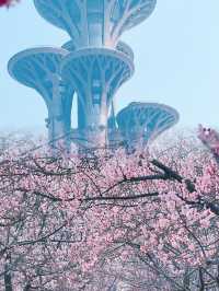 北京三月限定來這裡看三生三世十里桃花