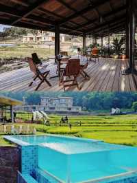 住進重慶山間梯田聞稻香飛茑集·重慶！美！