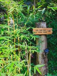 湖南民宿|湖南唯一全國首批甲級旅遊民宿