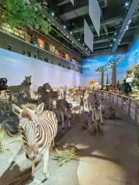 遇見上海自然博物館，讓心靈在自然中沉浸