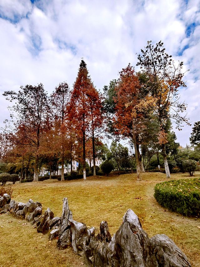 嚴寒中的東陽江濱公園：市民花園